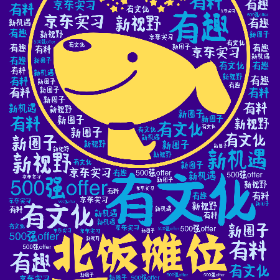 有趣 有料 有文化 新视野 新圈子 新机遇 京东实习 500强offer-wordart poster