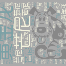 黄金龙 芒尼-wordart poster